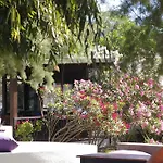 Arriba & Restaurant Oda ve Kahvaltı *