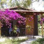 Arriba & Restaurant Oda ve Kahvaltı *