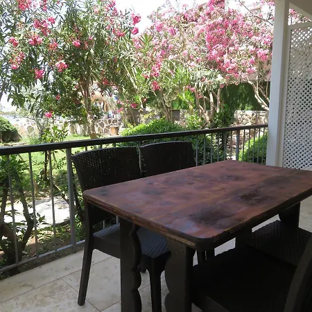 Arriba & Restaurant *