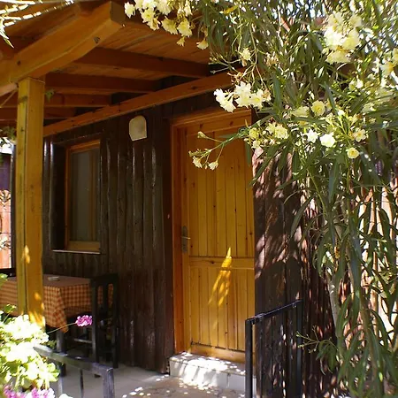 Arriba & Restaurant Bed & Breakfast Gümüşlük