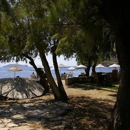 Arriba & Restaurant Oda ve Kahvaltı