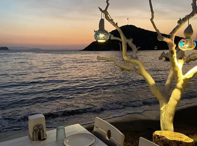 Arriba & Restaurant Nocleg ze śniadaniem