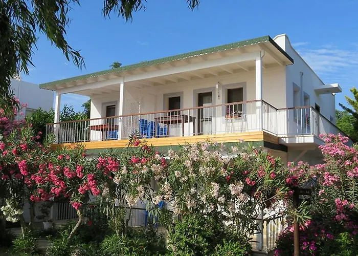 Arriba & Restaurant *