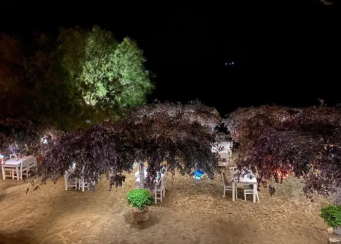 Nocleg ze śniadaniem Arriba & Restaurant