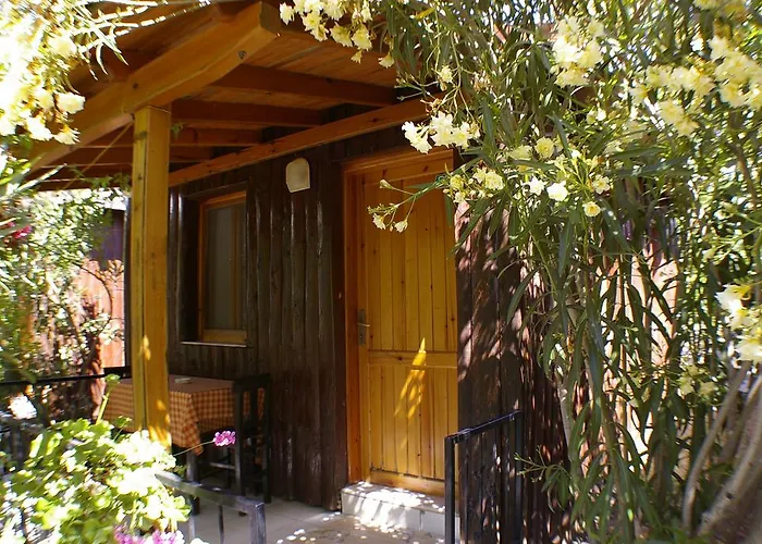 Arriba & Restaurant Nocleg ze śniadaniem Gümüşlük