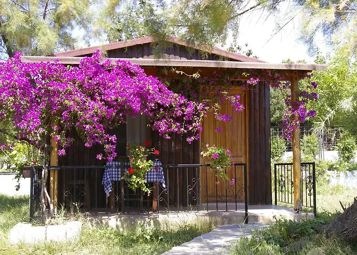 Arriba & Restaurant Bed & Breakfast *