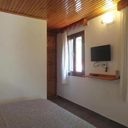 Arriba Pension&restaurant *