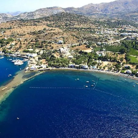 Arriba Pension&restaurant *