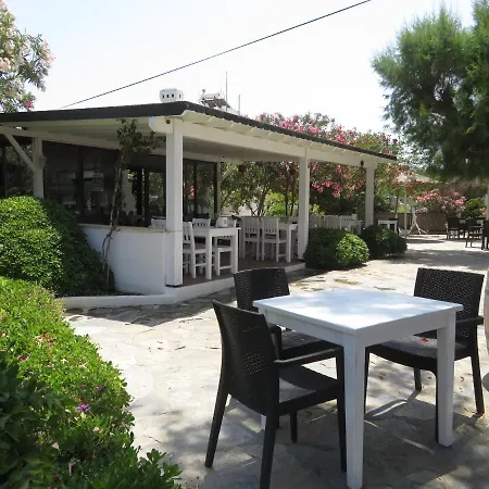 Arriba Pension&restaurant *