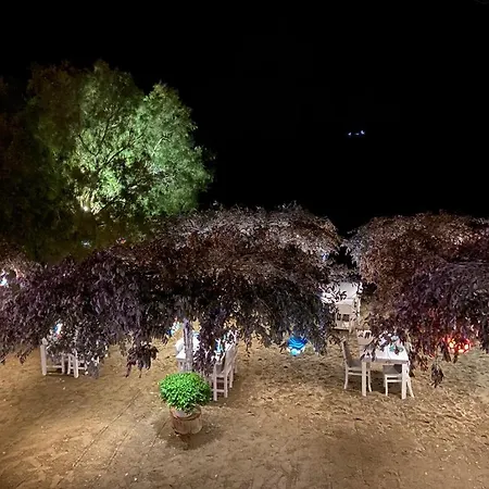 Bed & Breakfast Arriba & Restaurant