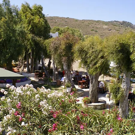Arriba & Restaurant