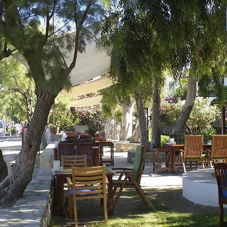 Arriba Pension&restaurant * Gümüşlük