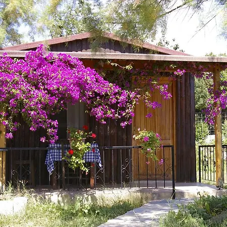 Arriba Pension&restaurant Bed and breakfast *