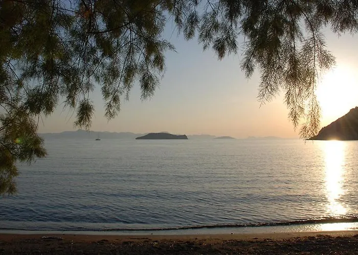 Arriba & Restaurant Couette-café *