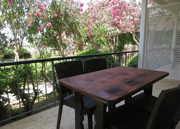 Arriba & Restaurant *