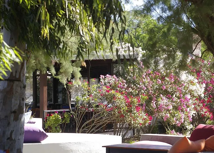 Arriba & Restaurant Couette-café *